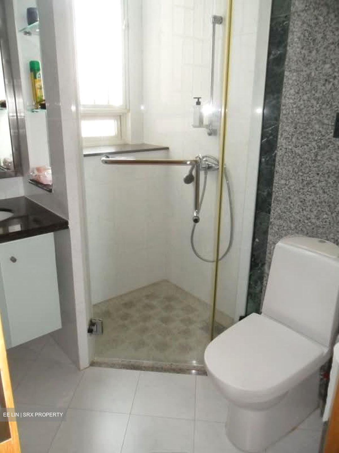Goldenhill Park Condominium (D20), Condominium #559704021